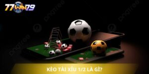 Kèo Tài Xỉu 1/2 là gì?